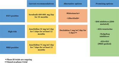Pharmacologic Therapies to Prevent Relapse of Acute Myeloid Leukemia After Allogeneic Hematopoietic Stem Cell Transplantation
